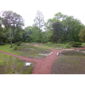 Szeged Botanic garden.